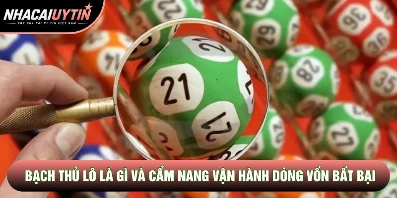 Bạch Thủ Lô Là Gì Và Cẩm Nang Vận Hành Dòng Vốn Bất Bại