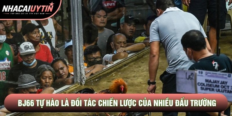 BJ66 tự hào là đối tác chiến lược của nhiều đấu trường