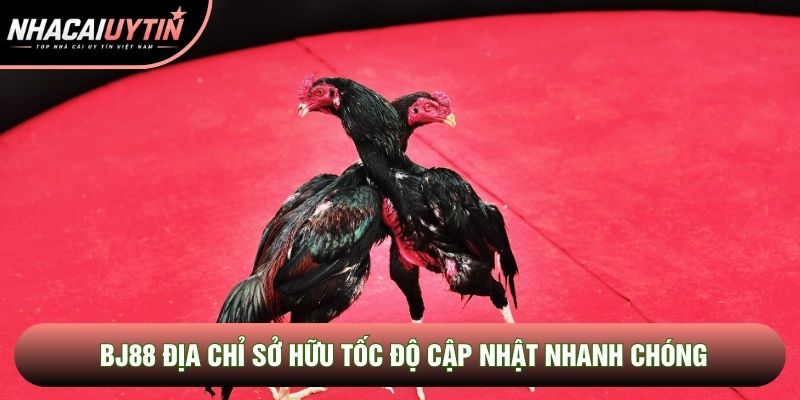 BJ88 địa chỉ sở hữu tốc độ cập nhật nhanh chóng
