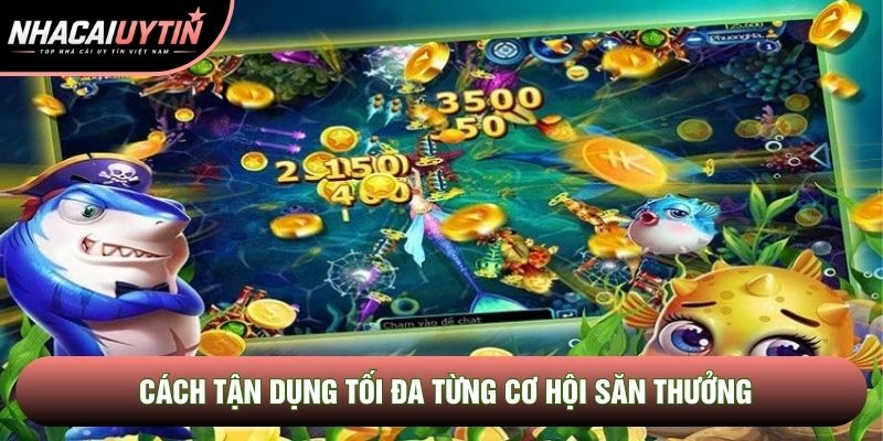 Cách tận dụng tối đa từng cơ hội săn thưởng