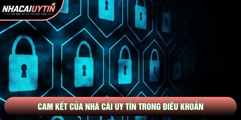 Cam kết của Nhà cái uy tín trong điều khoản