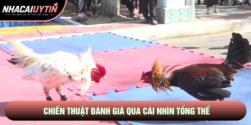 Chiến thuật đánh giá qua cái nhìn tổng thể