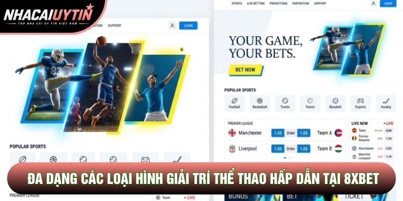 Đa dạng các loại hình giải trí thể thao hấp dẫn tại 8xbet