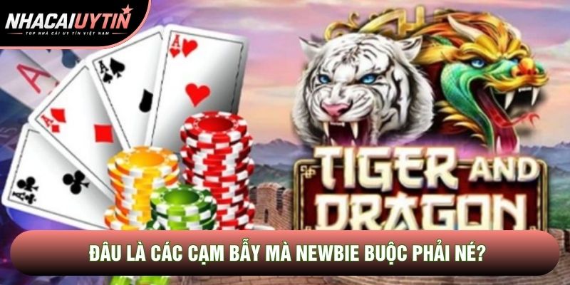 Đâu là các cạm bẫy mà newbie buộc phải né?
