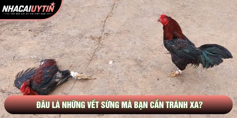 Đâu là những vết sừng mà bạn cần tránh xa?