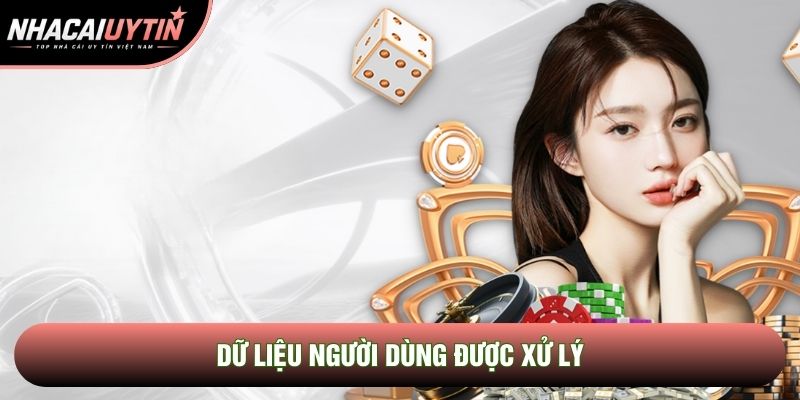 Dữ liệu người dùng được xử lý