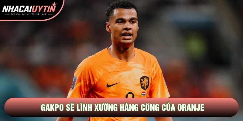 Gakpo sẽ lĩnh xướng hàng công của Oranje
