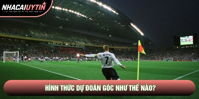 Hình thức dự đoán góc như thế nào?