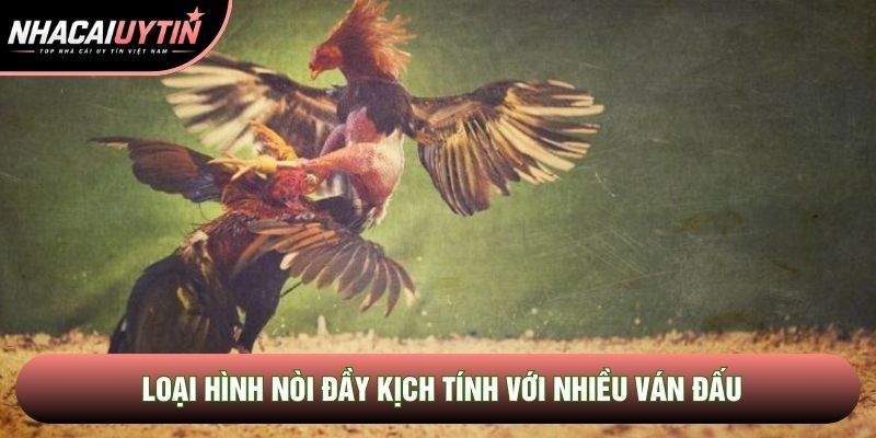 Loại hình nòi đầy kịch tính với nhiều ván đấu