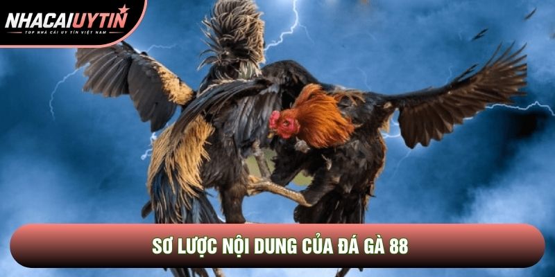 Sơ lược nội dung của Đá gà 88