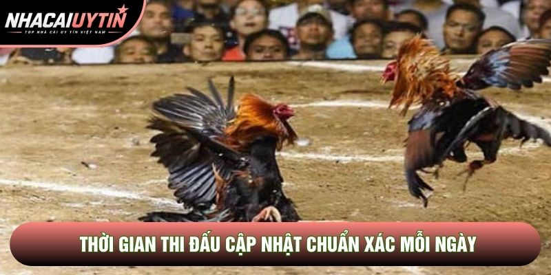 Thời gian thi đấu cập nhật chuẩn xác mỗi ngày